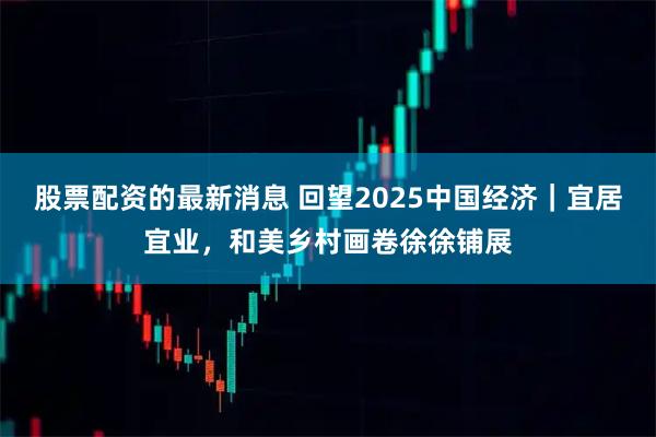 股票配资的最新消息 回望2025中国经济｜宜居宜业，和美乡村画卷徐徐铺展