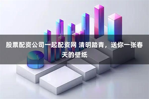 股票配资公司一起配资网 清明踏青，送你一张春天的壁纸
