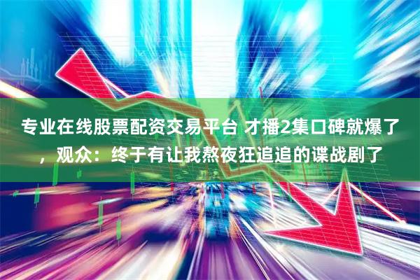 专业在线股票配资交易平台 才播2集口碑就爆了，观众：终于有让我熬夜狂追追的谍战剧了